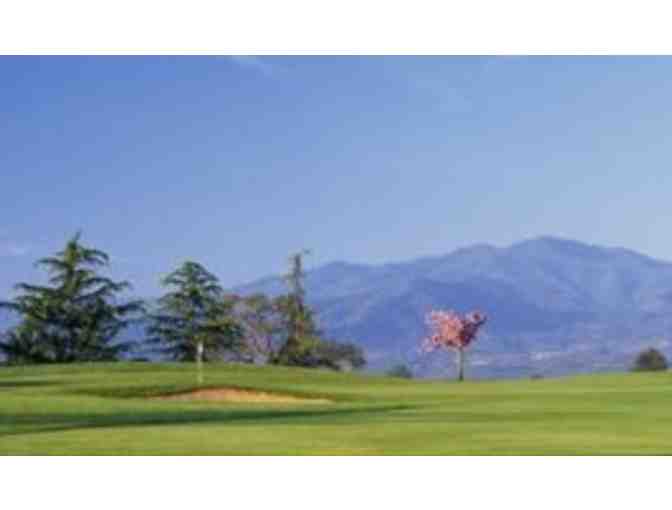 Quail Point Golf Course - Round of Golf with a Cart each Month for a Year #2