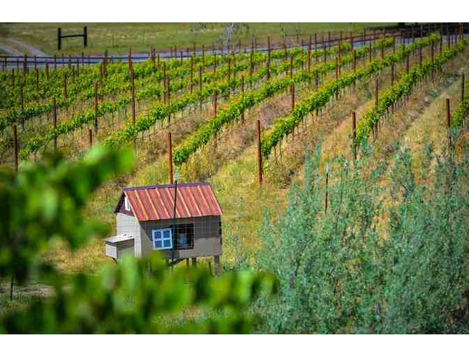 Red and White Wine from Schultz Glory Oaks