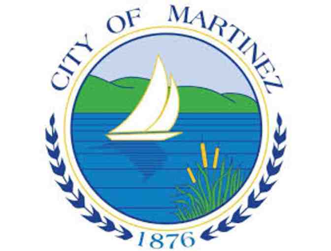 Mayor for a Day - Photo 1