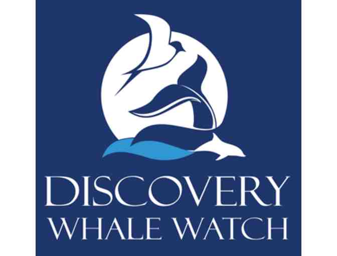 Adventures in Monterey! - Photo 3