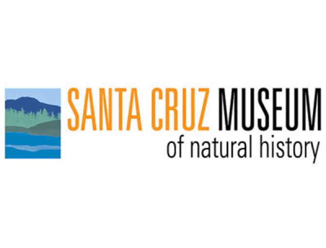 Discover Santa Cruz