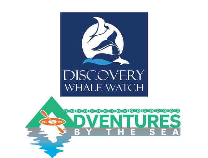 Adventures in Monterey! - Photo 1