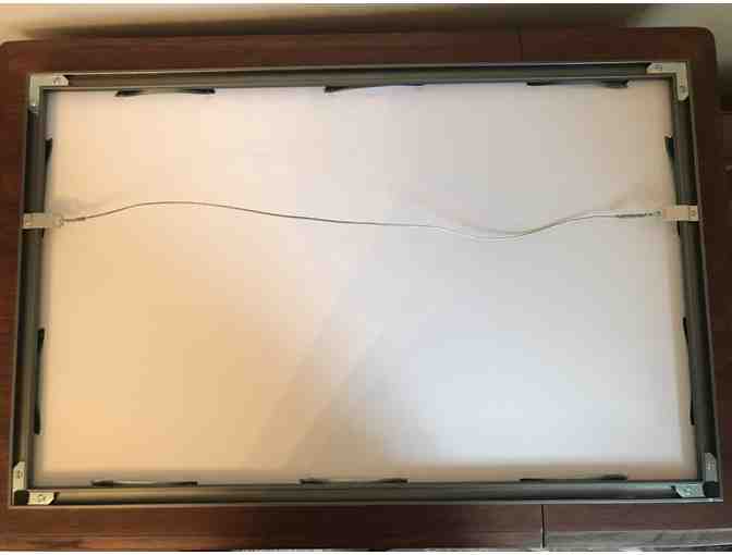 Framed Print Wildlife Photograph