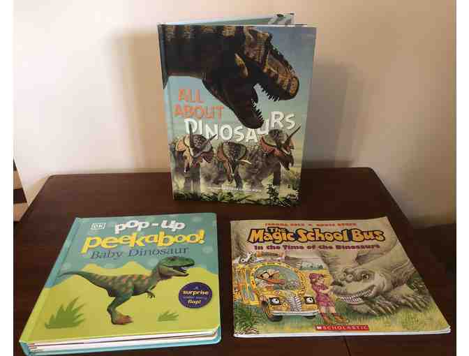 Dinosaur Lovers Book Cube
