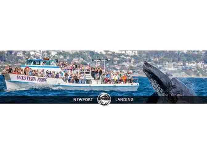 Whale Watching Passes for 4 in beautiful Newport Beach, CA