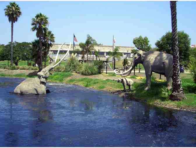 Four (4) Guest Passes to Natural History Museum of LA County or La Brea Tar Pits