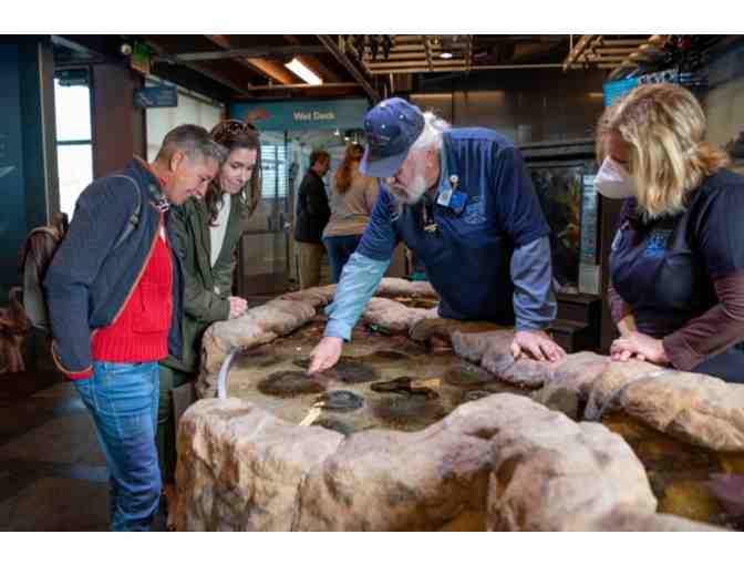 Four (4) Guest Passes to Santa Barbara Museum of Natural History or the Sea Center