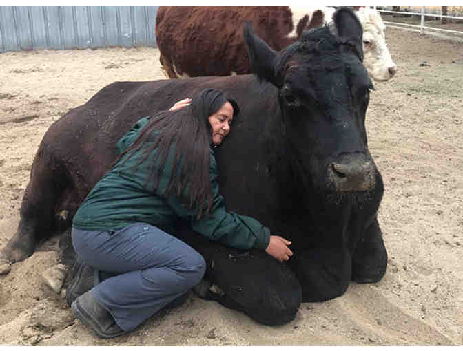 Family Pass for up to 5 guests to ANY Gentle Barn location