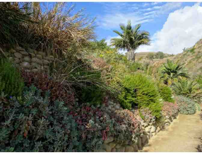 Dual Membership to Ventura Botanical Gardens