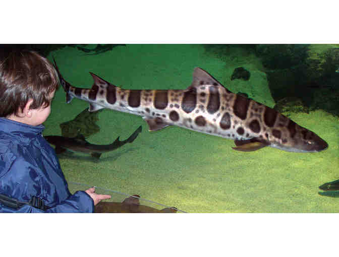 Admission for 2 adults and 2 children to the Living Coast Discovery Center