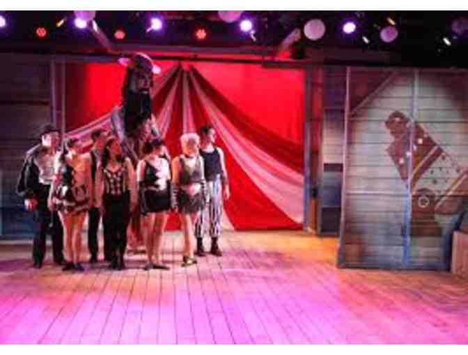 Four (4) Tickets to any Production in TYA Series or Holiday Series to Chance Theater