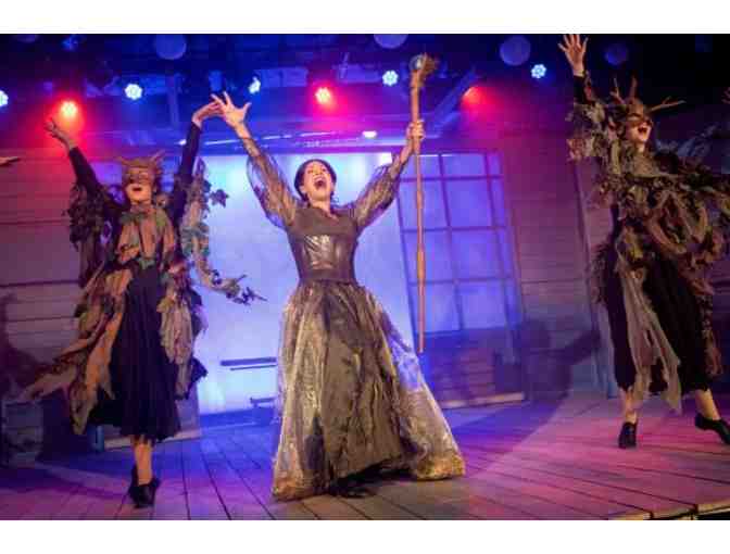 Four (4) Tickets to any Production in TYA Series or Holiday Series to Chance Theater