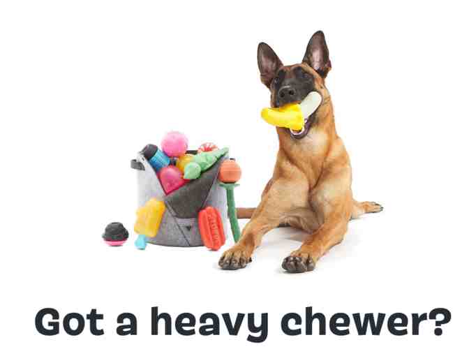 One Month Digital Gift Certificate to BarkBox