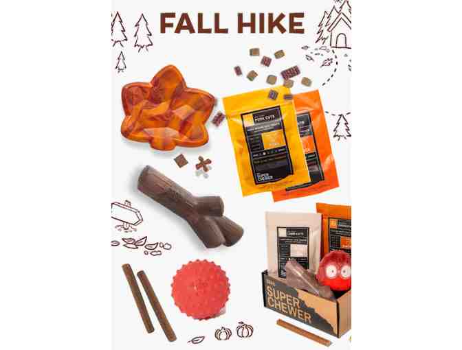 One Month Digital Gift Certificate to BarkBox