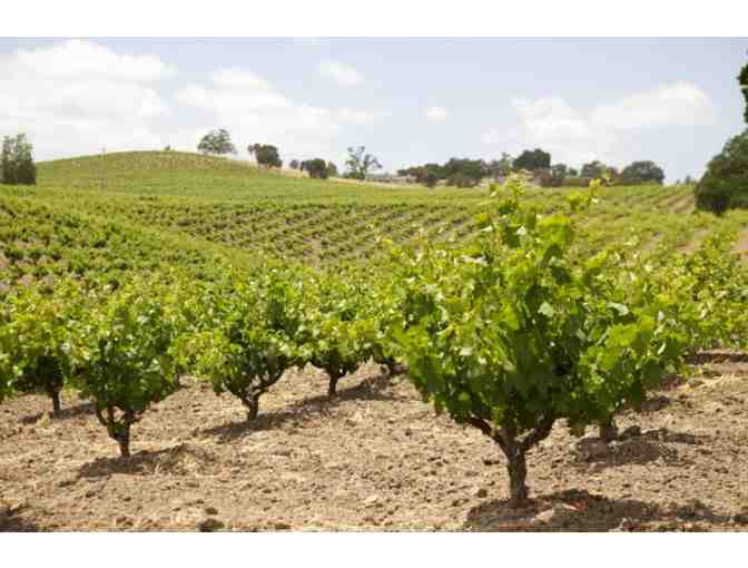 2 Tastings at J Dusi Winery Tasting and bottle of 2022 Zinfandel Wine