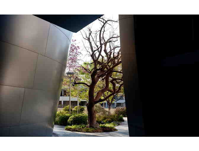 2 Tickets to the Walt Disney Concert Hall