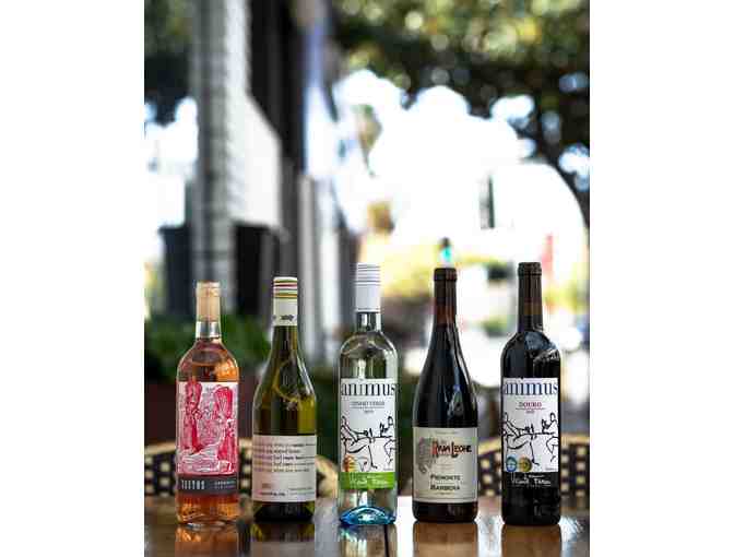 $50 Gift Certificate to Bodega Wine Bar