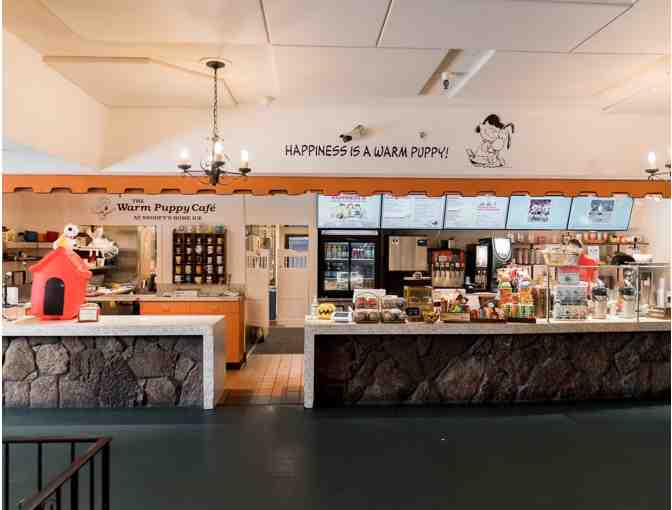 4 Skating Passes + Rentals to Snoopy's Home Ice