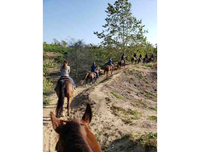 One Hour Trail Ride For Two at Horse Play Rentals (#1)