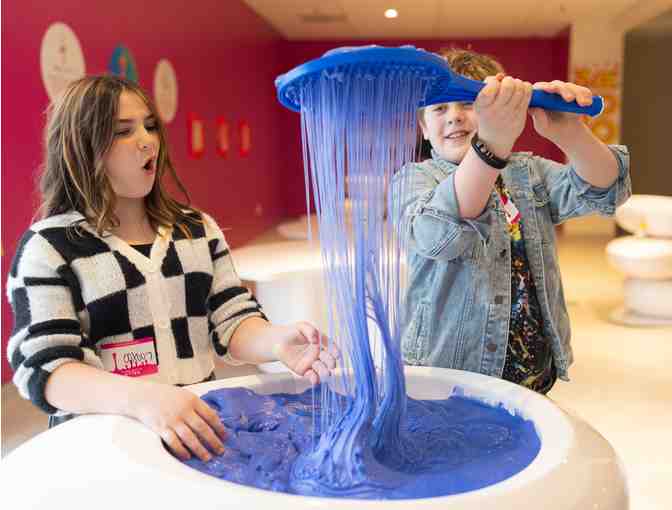 $200 Gift Certificate to Sloomoo Institute