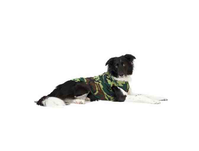 Certificate for an original Stretch Fleece or Sun Shield Tee from Goldpaw