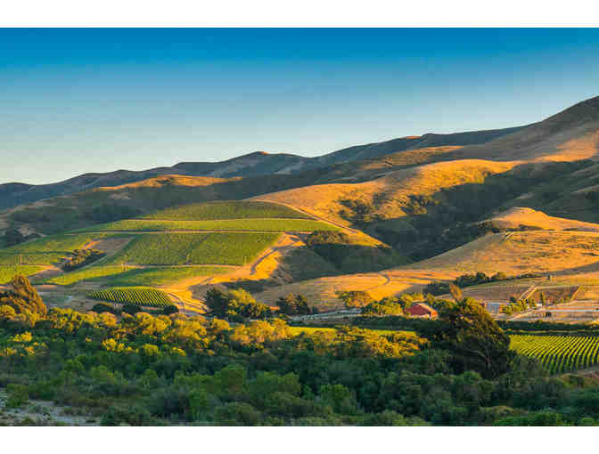 Tasting Experience for 4 at Los Olivos Tasting Room