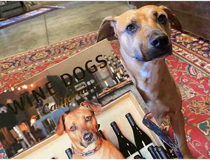 Tasting for Two at Babcock Winery and Vineyards