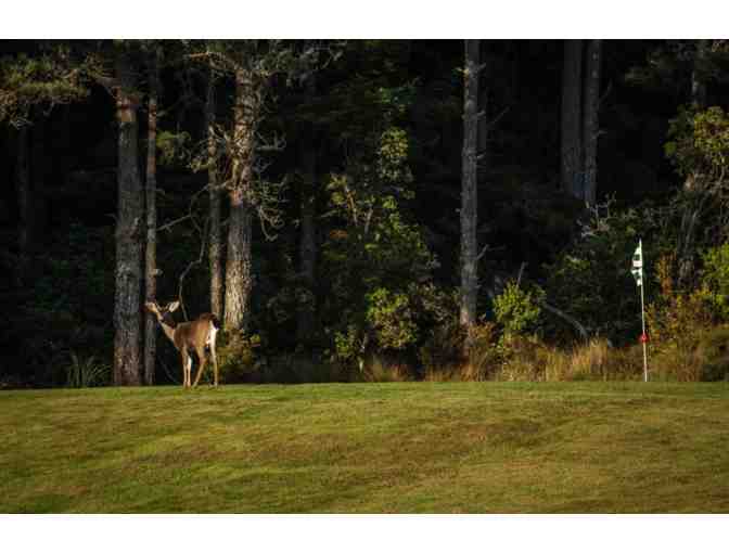 18 holes of Golf for Two with Cart at Little River Inn Golf Course