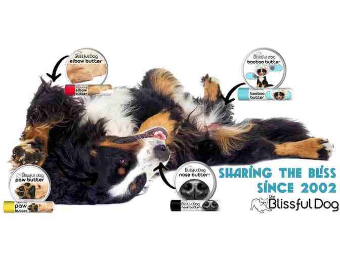 The Blissful Dog Nose to Toes Combo from The Blissful Dog