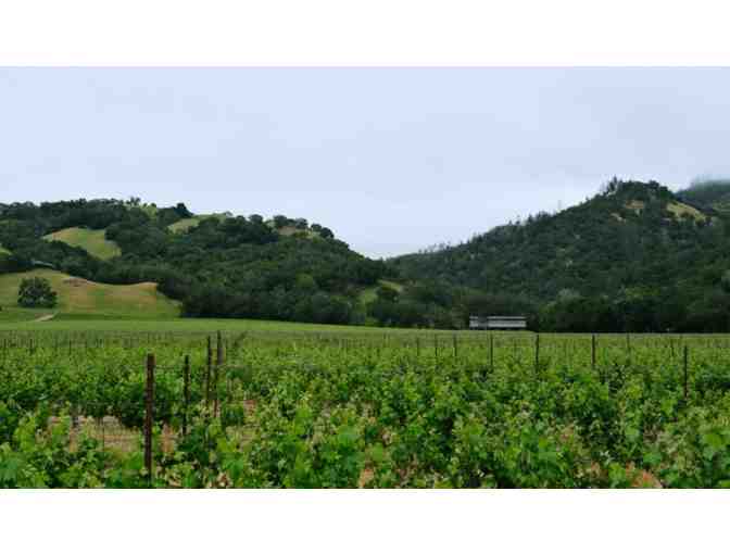 Taste the Elegance of Sonoma- 2014 Cabernet Sauvignon & 2021 Chardonnay from Hafner Viney