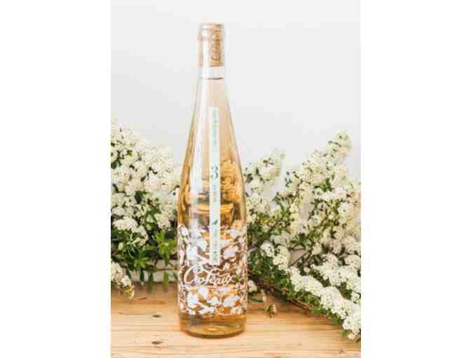 A Taste of North Fork, presented by Oak Class - Photo 1