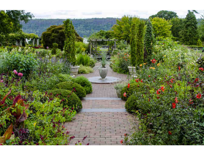 Jewels of the Bronx Package