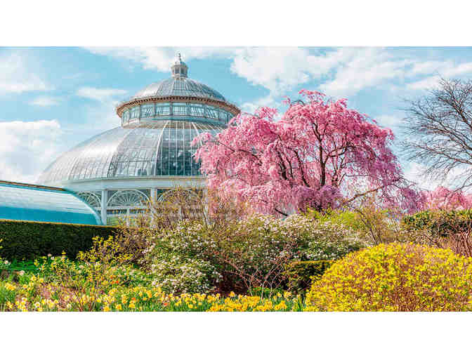 Jewels of the Bronx Package