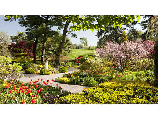 Jewels of the Bronx Package