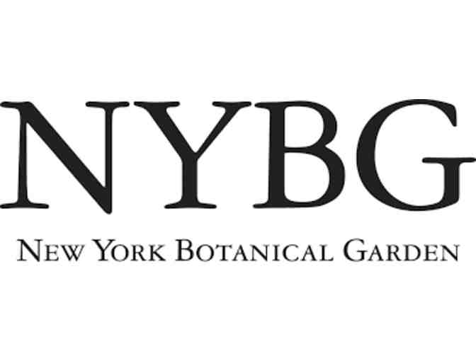 Jewels of the Bronx Package