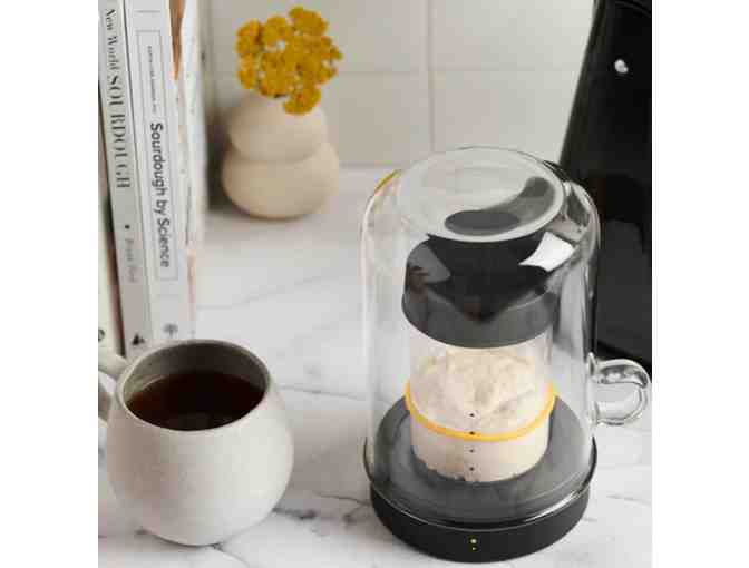 Goldie by Sourhouse + Cooling Puck