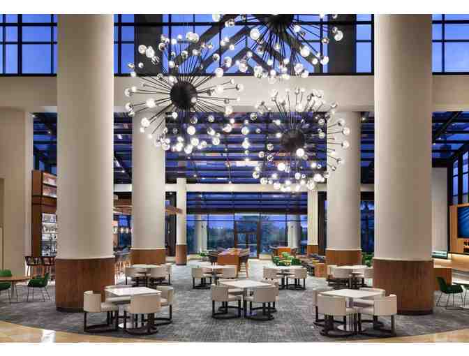 Taste the Magic - Orlando's Culinary Scene Awaits!