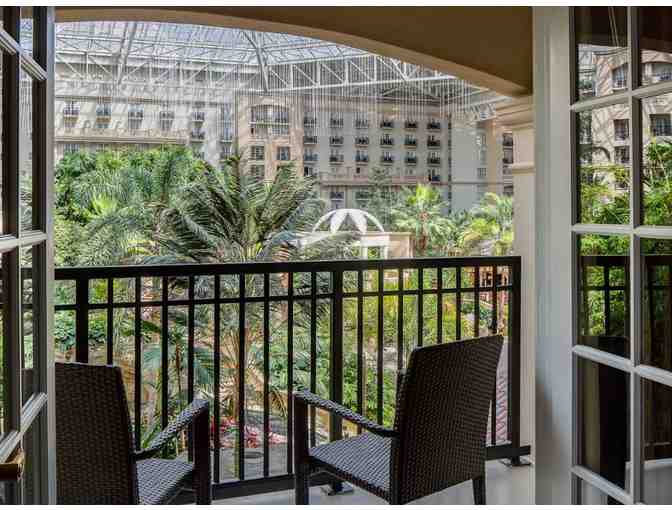 Experience Florida Fun!