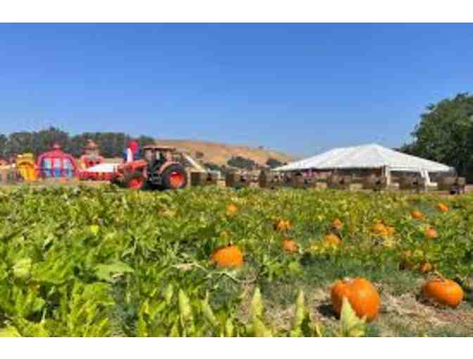 Mickelson Pumpkin Patch