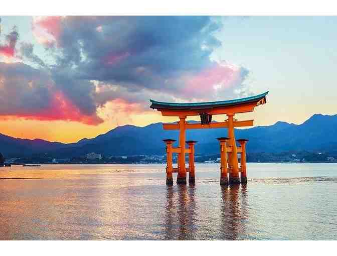 One Year of Online Language Lessons