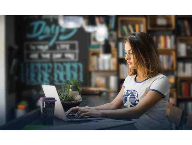 One Year of Online Language Lessons