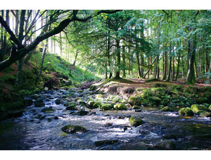 Game of Thrones Journey