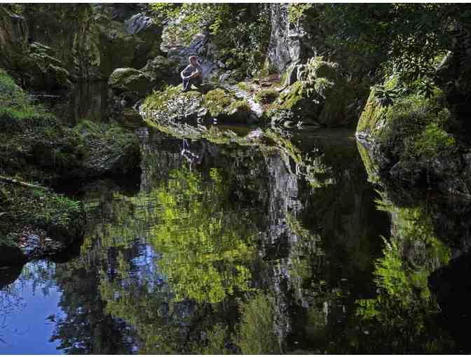 Game of Thrones Journey