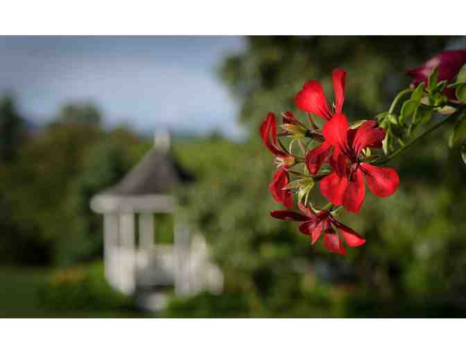 Smoky Mountain Escape