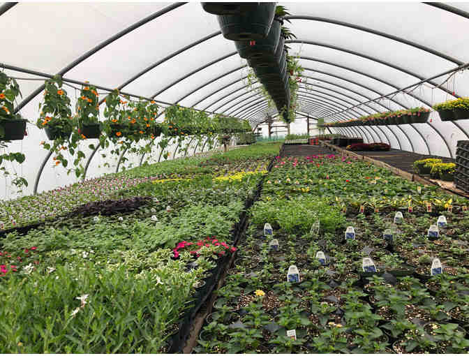 Stamp Farms $50 Gift Certificate