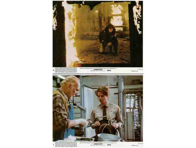 ENDANGERED SPECIES, 1982, mini lobby cards, Robert Urich, JoBeth Williams