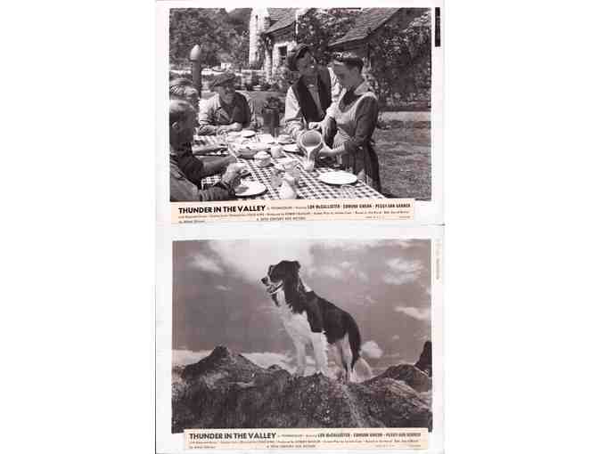 THUNDER IN THE VALLEY, 1947, movie stills, Lon McCallister