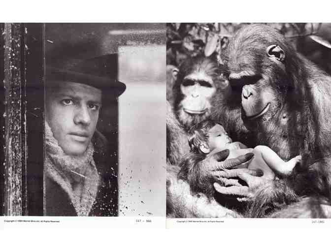 GREYSTOKE: LEGEND OF TARZAN, 1984, movie stills, COLLECTORS LOT