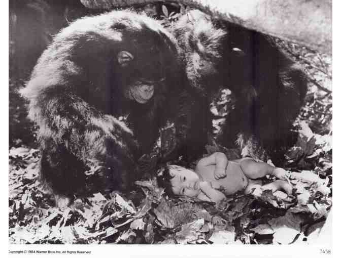 GREYSTOKE: LEGEND OF TARZAN, 1984, movie stills, COLLECTORS LOT