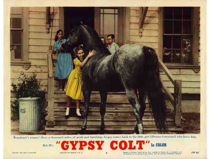 LOBBY CARDS MISC LOT 14 TWELVE DIFFERENT TITLES 1940s to 1990s